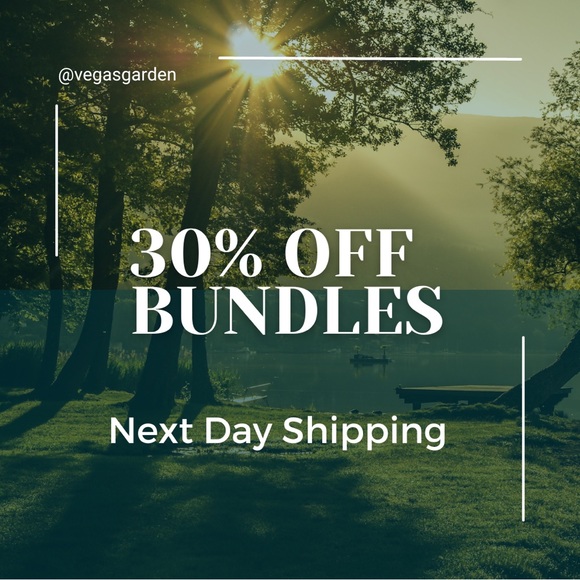 Old Navy Denim Blue Jeans Womens Size 10 Straight Leg Low Waist y2k - Picture 2 of 16